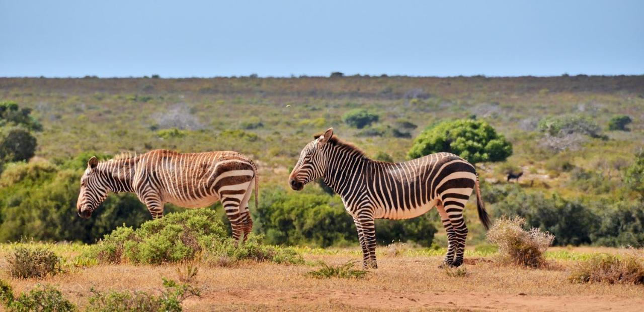 De Hoop Collection - Vlei Cottages De Hoop Nature Reserve Εξωτερικό φωτογραφία