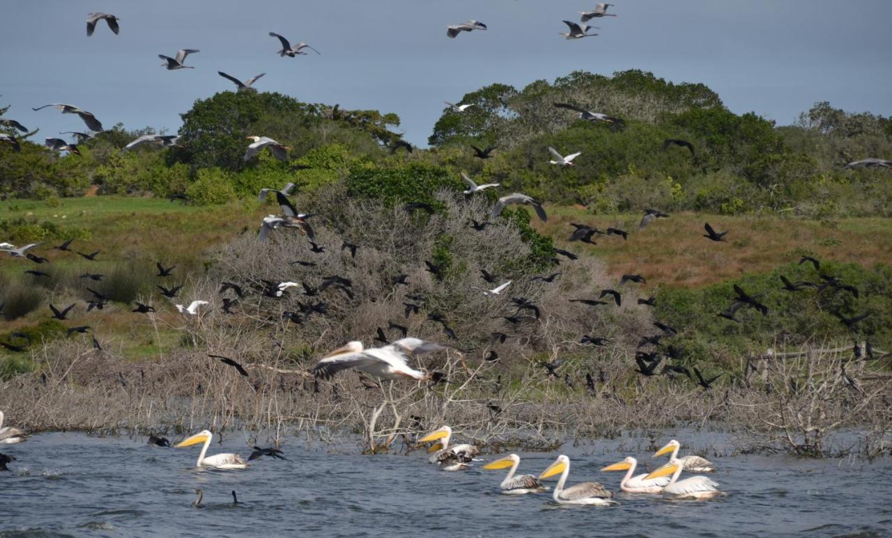 De Hoop Collection - Vlei Cottages De Hoop Nature Reserve Εξωτερικό φωτογραφία